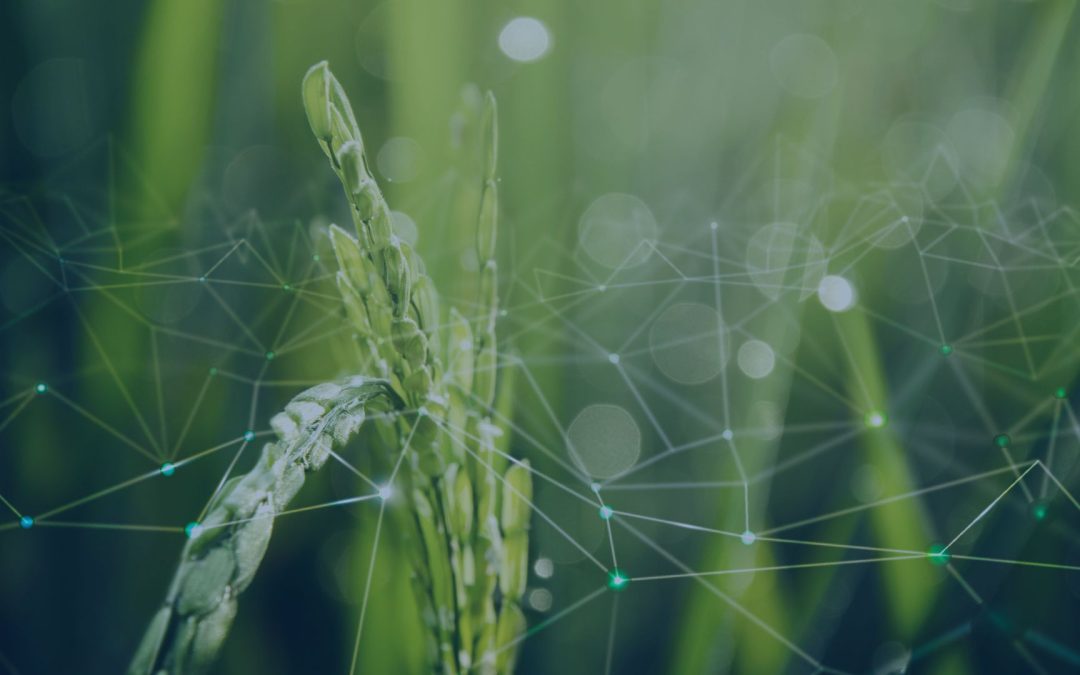 Internet delle cose (IoT) nell'agricoltura